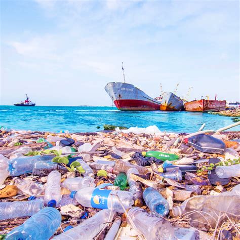 What Ocean Plastic Pollution Does To The World - vrogue.co