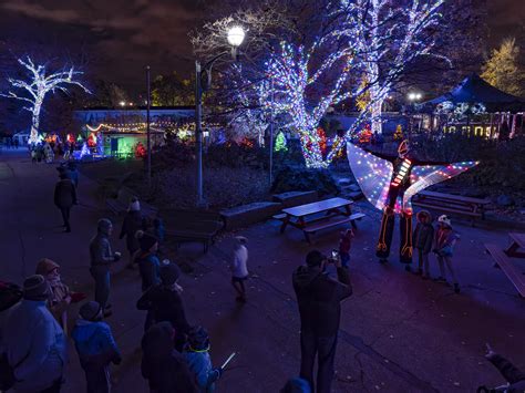 Photos: The Philly Zoo is glowing with a million holiday lights