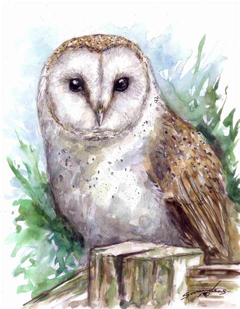 Owl Watercolor at GetDrawings | Free download