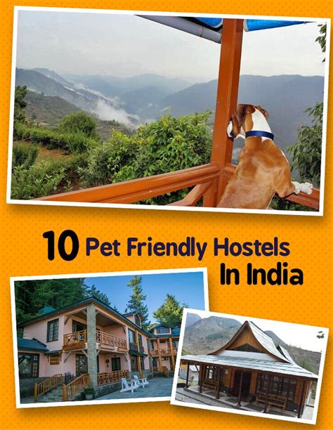 If you’re looking for pet-friendly hotels in India, then accommodations like Elgin Hotels ...