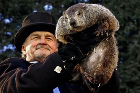 Groundhog Day - Gainesville