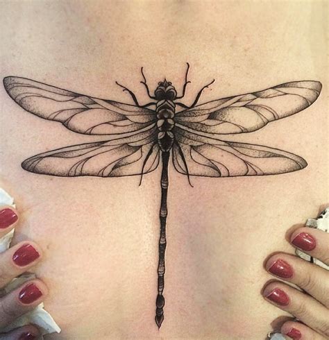 Pin by Renee Sutherland on Tattoos (With images) | Dragonfly tattoo design, Dragonfly tattoo ...