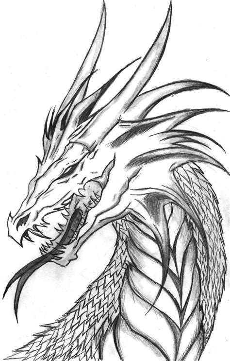 Chinese Dragon Pencil Drawings at PaintingValley.com | Explore collection of Chinese Dragon ...