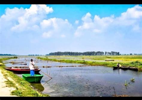 Kanwar Jheel Bird Sanctuary - Begusarai Post