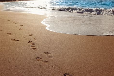 HD wallpaper: footsteps on sand near shore, beach, ocean, water ...