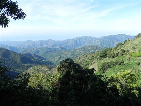 Jamaica Hiking: The Blue Mountain Trail – Sunrise Hike