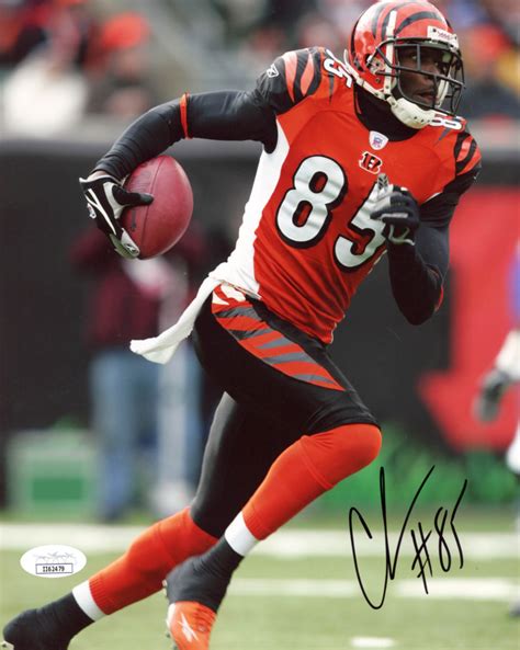 Chad "Ochocinco" Johnson Signed Bengals 8x10 Photo (JSA COA) | Pristine ...