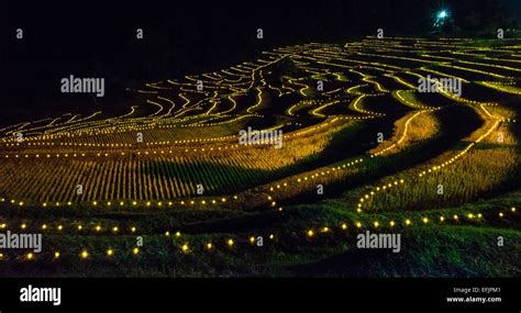 Oyama senmaida rice terrace,Kamogawa city,Chiba,Japan Stock Photo - Alamy