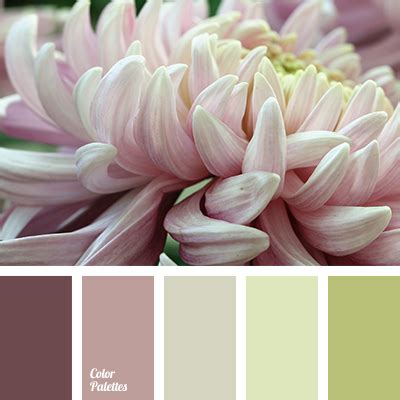 dull colors | Color Palette Ideas