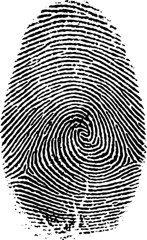 Fingerprint Vector Clipart image - Free stock photo - Public Domain ...