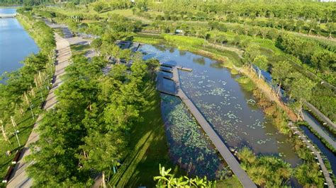 This man is turning cities into giant sponges to save lives | World Economic Forum