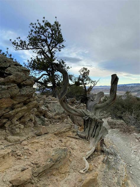 Dakota Ridge Trail - Colorado | AllTrails