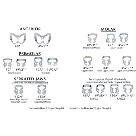 Dental Dam Clamps | Odontología, Higienista dental, Anatomía dental