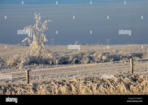 Winter Frost Saskatchewan Canada ice storm danger Stock Photo - Alamy