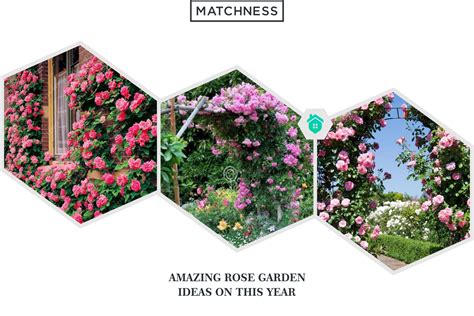 47 Amazing Rose Garden Ideas on This Year - Matchness.com