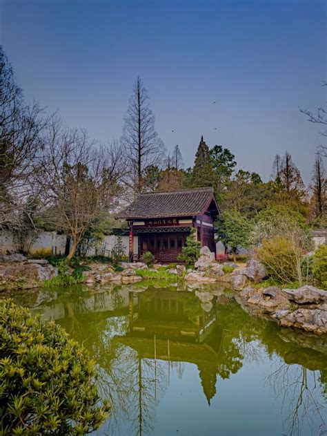 Hangzhou’s Botanical Garden 🌸 | Trip.com Yogyakarta Travelogues