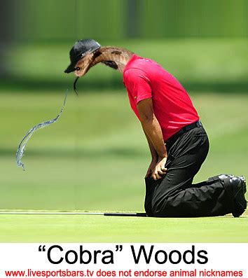 Cobra Woods? : r/WTF