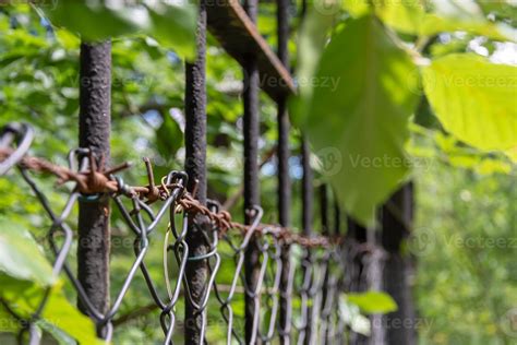 Chain link fence with plants 10478974 Stock Photo at Vecteezy