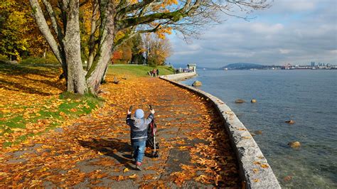 12 Best Things To Do In Stanley Park, Vancouver - In Love With BC