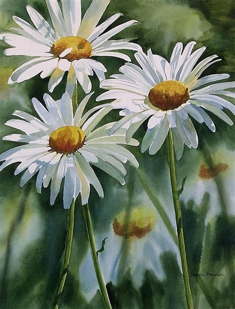 3번째 이미지 | Floral painting in 2019 | Daisy painting, Watercolor paintings, Painting