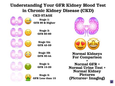 Understanding Your GFR Kidney test Mixed Media by Happy Ingenuity - Fine Art America