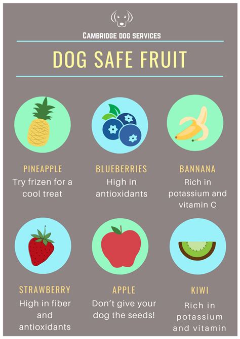 Dog safe fruits