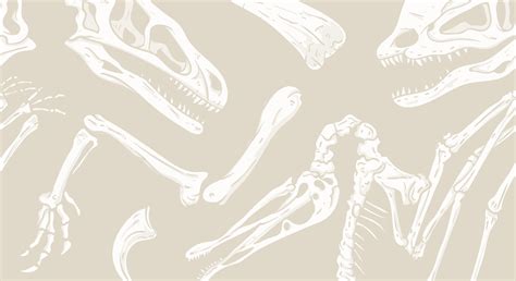 Dinosaur Skeleton Wallpapers - Wallpaper Cave