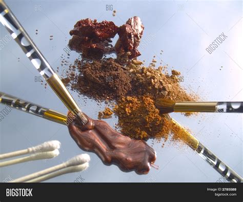 Earth Tone Makeup Image & Photo (Free Trial) | Bigstock