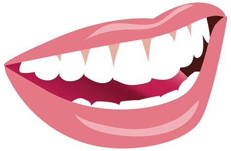 Mouth Lip Smile Clip art - Smiling Mouth Cliparts png download - 3000*1970 - Free Transparent ...