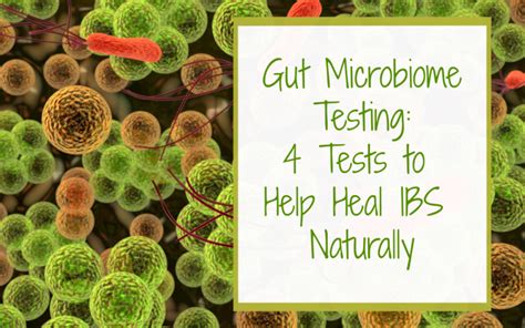 Gut Microbiome Testing: 4 Tests to Help Heal IBS Naturally - Confluence Nutrition