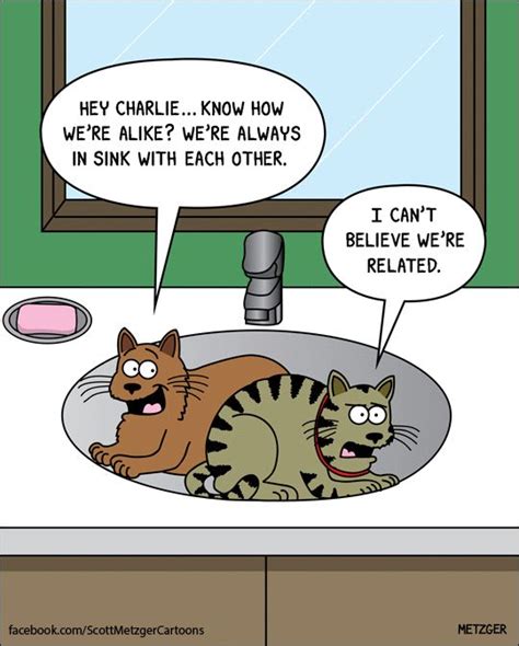 Pin on Cats In Comics ~ 2