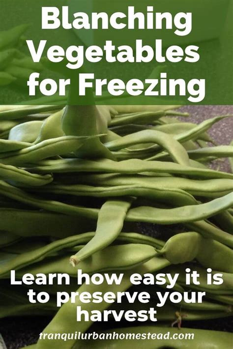 Easy Step-By-Step Guide to Blanching Vegetables For Freezing | Healthy Fresh Homegrown by ...