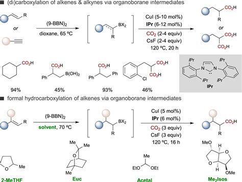 The road to industrialization of fine chemical carboxylation reactions: Chem