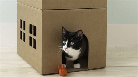 How to Make a Cardboard Cat Playhouse | Martha Stewart