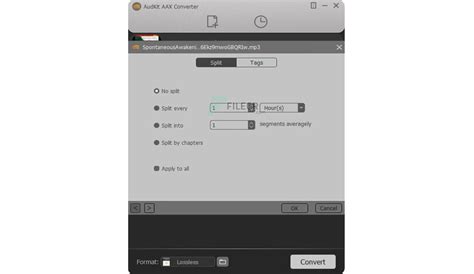 AudKit AAX Converter 2.2.0.25 Free Download - FileCR