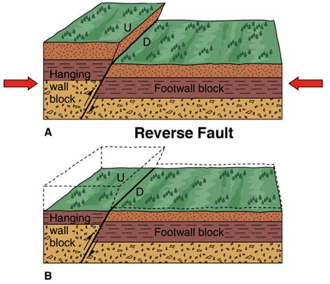 Reverse Fault Block Diagram