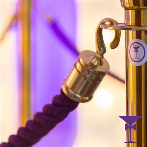 Purple Stanchion Rope With Gold Hooks - Daniel Lay Event Services