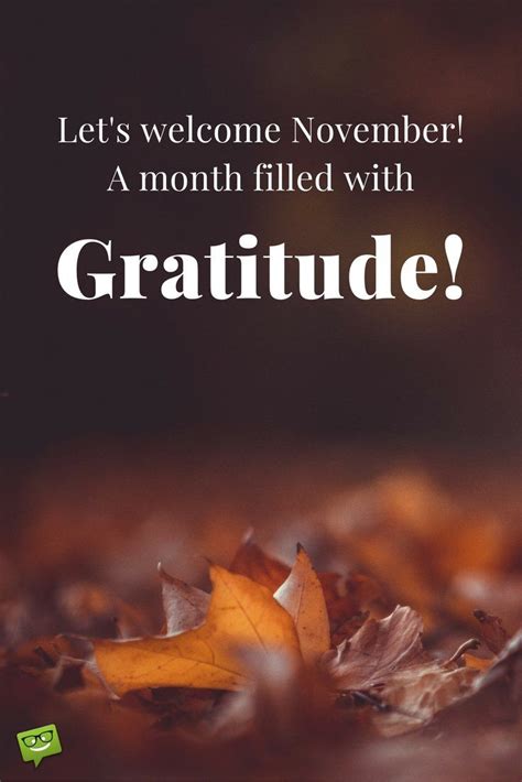 November quote about gratitufe on wallpaper with fallen leaves. | Frases profundas de libros ...