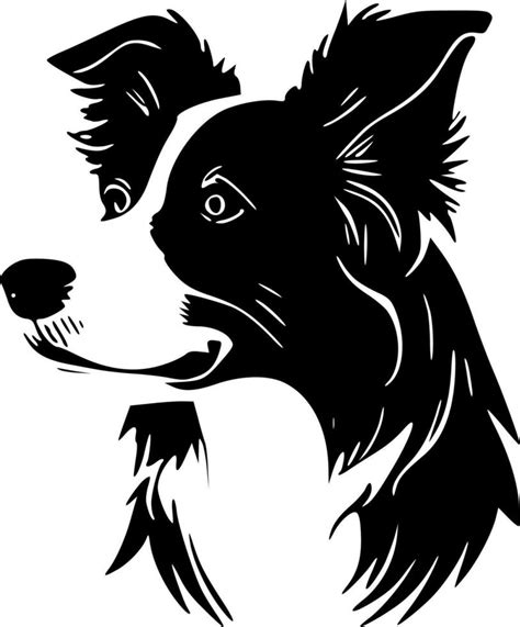 Border Collie - Black and White Isolated Icon - Vector illustration ...