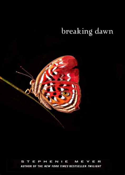 The Twirling Dragon: Breaking Dawn Cover Art