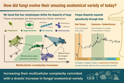 Graphical abstracts — Science Graphic Design