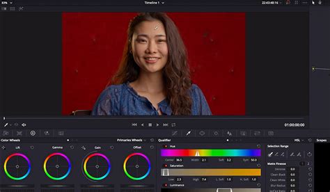 Davinci resolve color grading free - saspremium