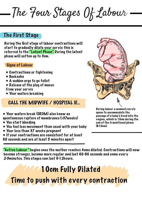 The Four Stages of Labour Part 1 - Etsy UK