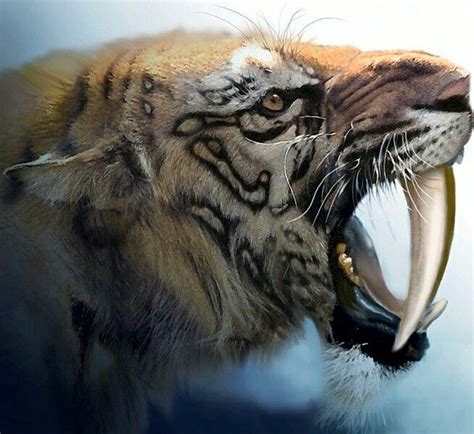 Smilodon - A saber-toothed cat (alternatively spelled sabre-toothed cat ...