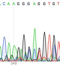 How to properly analyze and troubleshoot DNA sequencing results ...