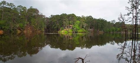 Bastrop State Park — Texas Parks & Wildlife Department | Bastrop state ...