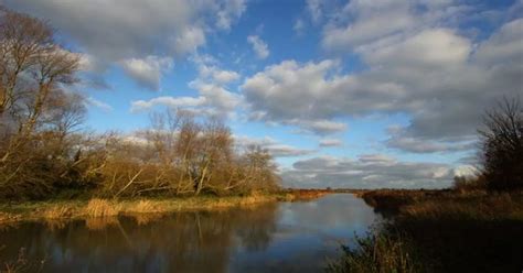 Desperate search for six-year-old boy who fell into Kent river - Devon Live