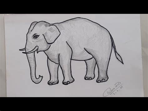 Discover 72+ elephant pencil drawing easy latest - xkldase.edu.vn