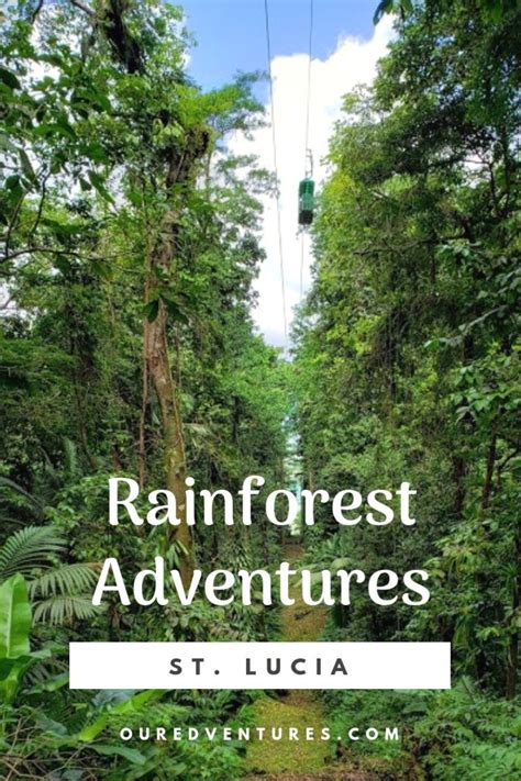 Rainforest Adventures in St. Lucia | America travel, South america travel, Caribbean travel