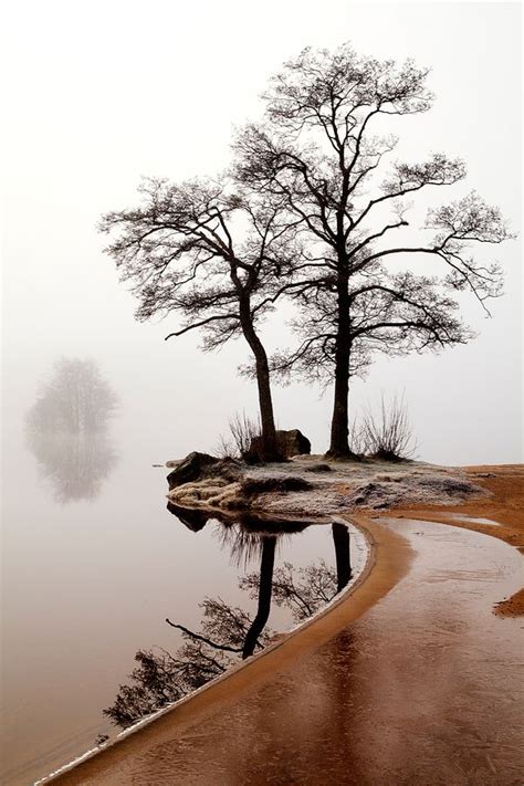 *"Silence" (by Anne Ståhl) Amazing Nature, Beautiful Gorgeous, Gorgeous Women, Lovely, Beautiful ...